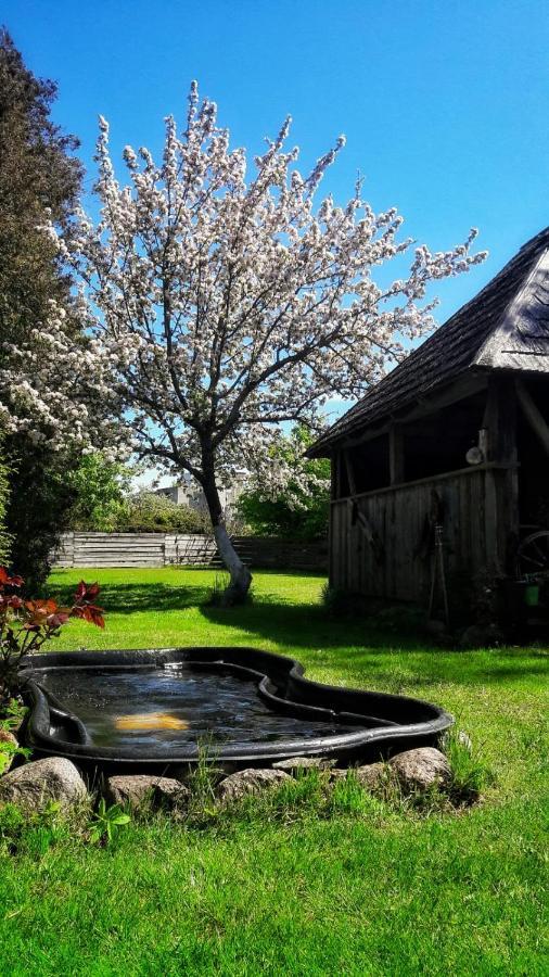 Viesu Nams Klanas Hotel Engure Bagian luar foto